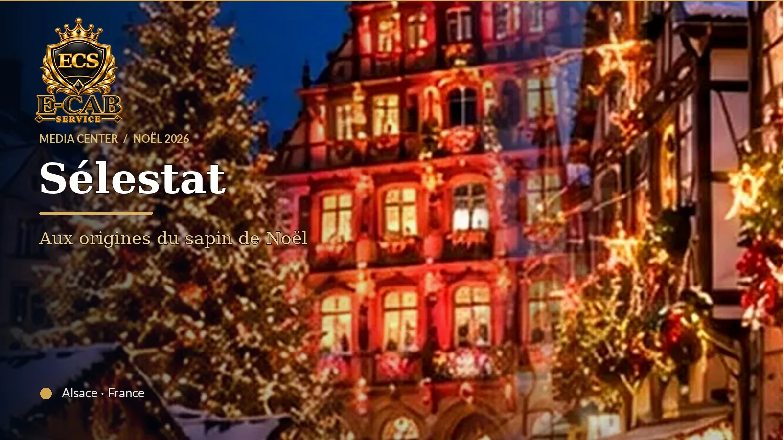 Sélestat, 1521 : l’affaire du sapin de Noël enfin élucidée